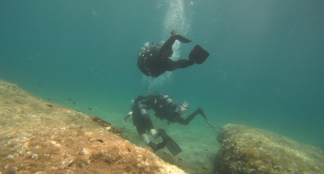 diving-education